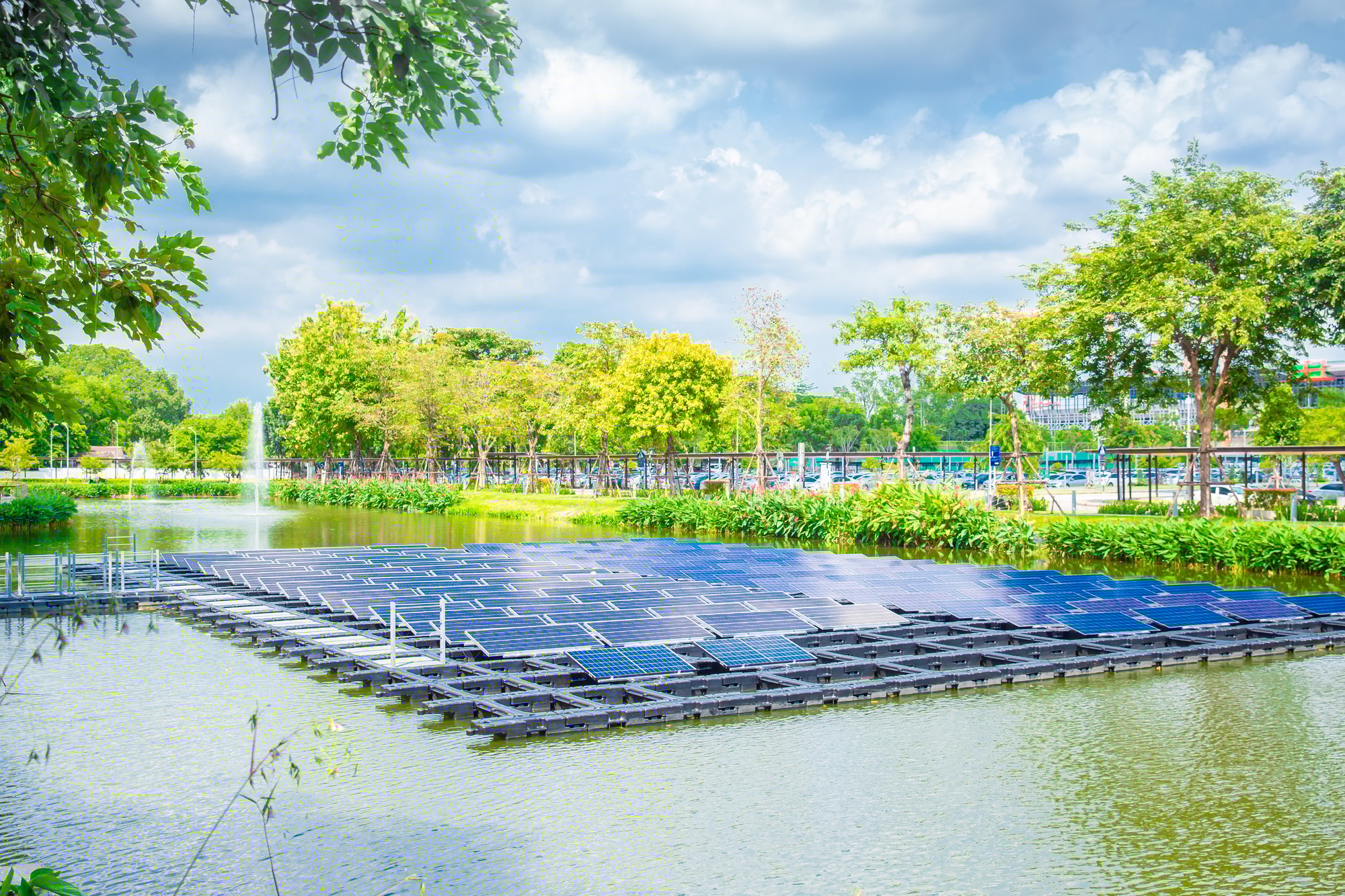 Floating solar panels platform over water lake green park renewable electricity energy technology